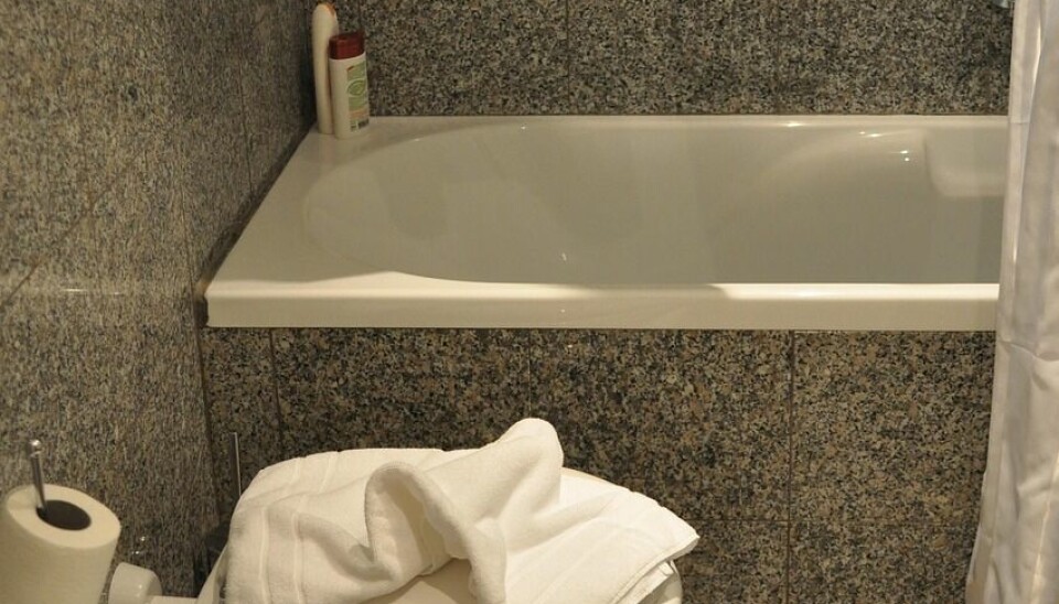 Selv om huset var fra 1981, la retten til grunn at dette ikke i seg selv tilsier at bad må antas å være utette.