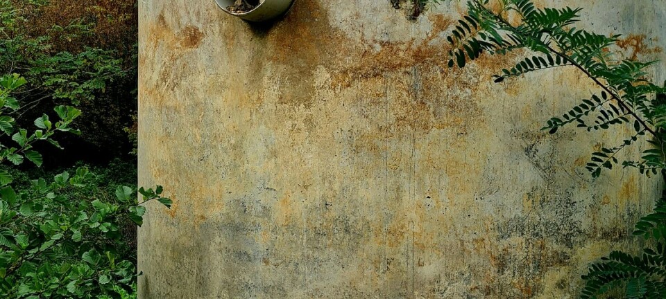 Full septiktank ga full seier for kjøper