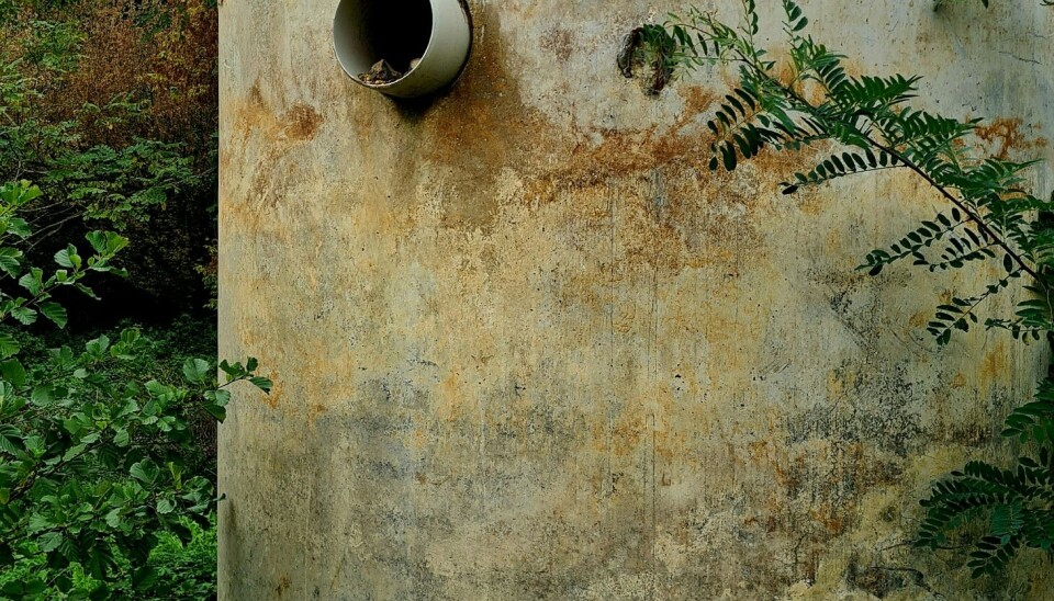 Full septiktank ga full seier for kjøper